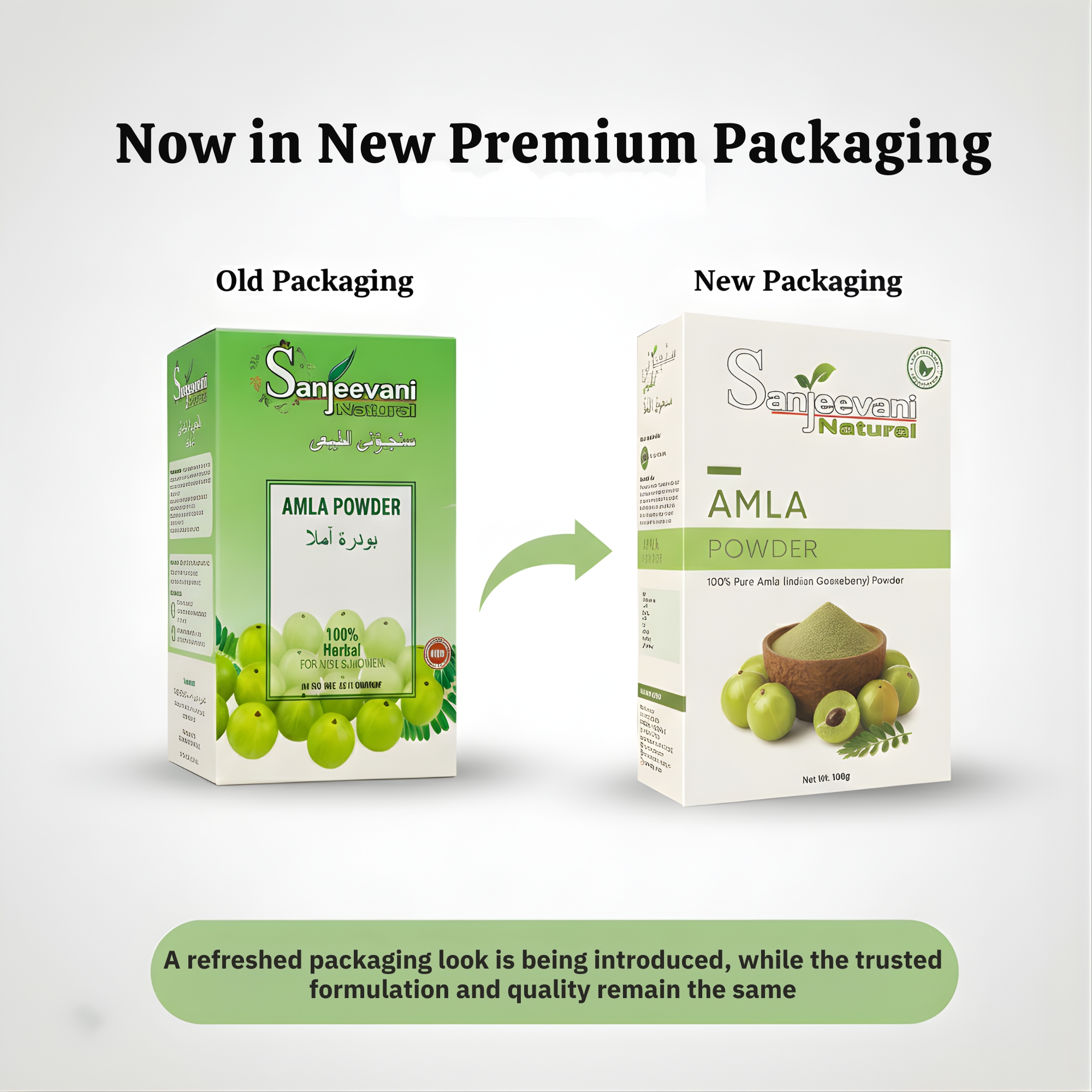 Sanjeevani Natural Amla Powder | Promotes Hair Growth Glowing Skin & Boosts Immunity | Pack of 100gm - Image 4
